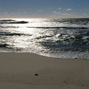 Meet your Posher, Pamela